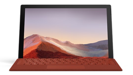 西丰清洁和维护 Surface